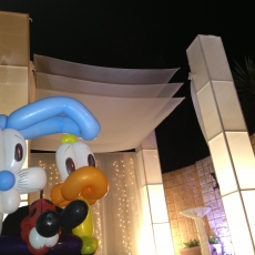 בלונים לחתונה של חיות מצחיקות