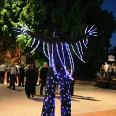 led man 32